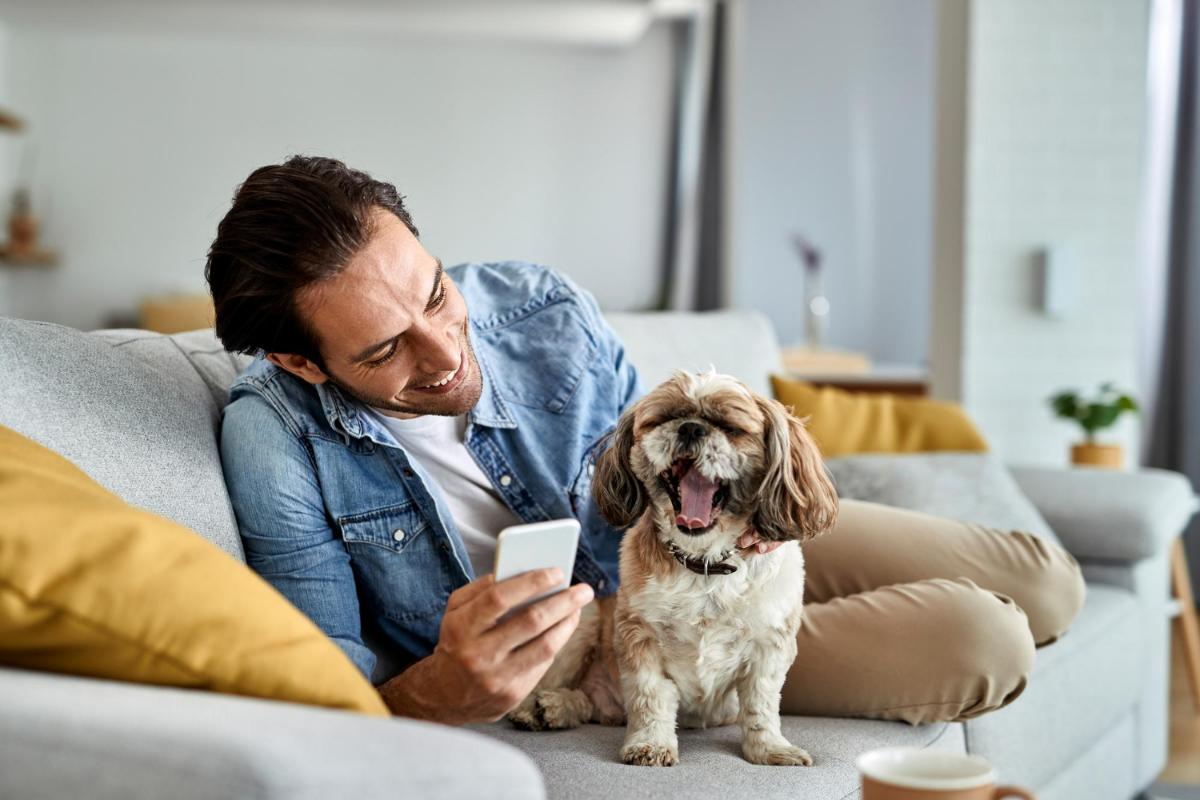 Five Dog Breeds that Are Great for Apartment Living