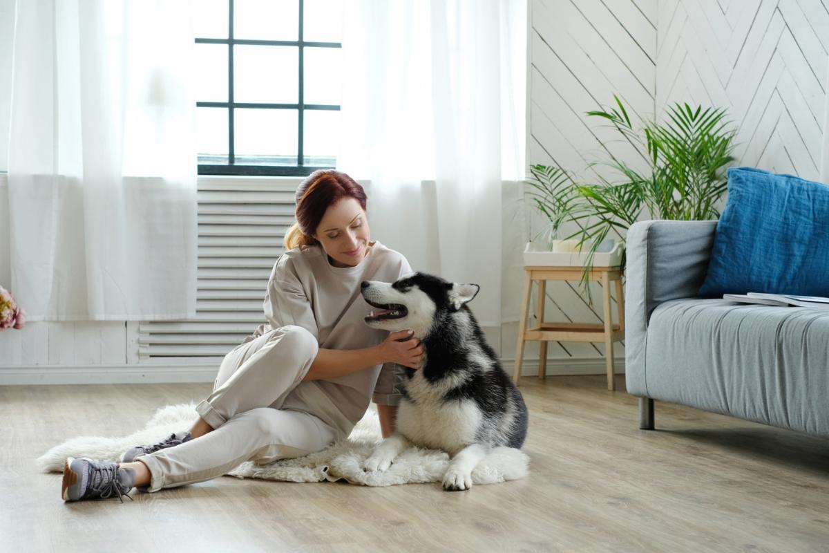 Why Dog Owners Make Great Renters