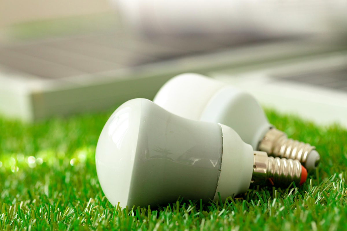 Go Green with these Apartment Improvements