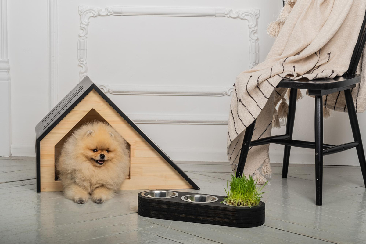 Create a Pet Space in Your Apartment