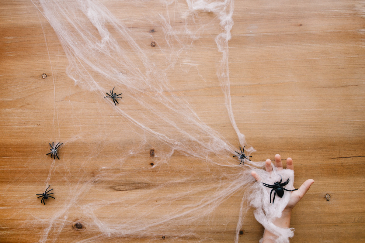 The Ultimate Guide to Getting Rid of Cobwebs in Your Apartment