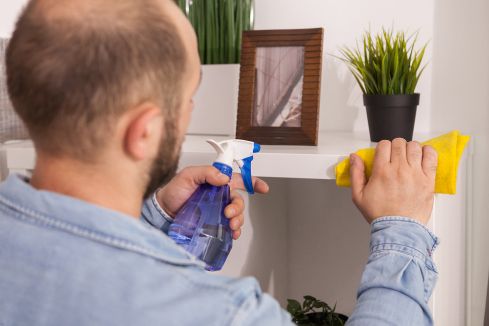 Natural Ant Repellents for Your Apartment