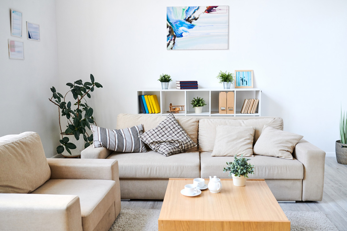 Small Living Room Design Ideas for Your Apartment