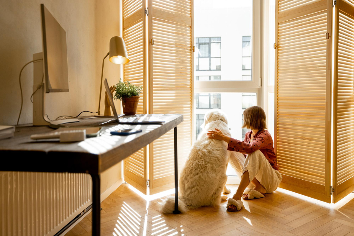 A Guide on Introducing Pets When Moving into a New Apartment