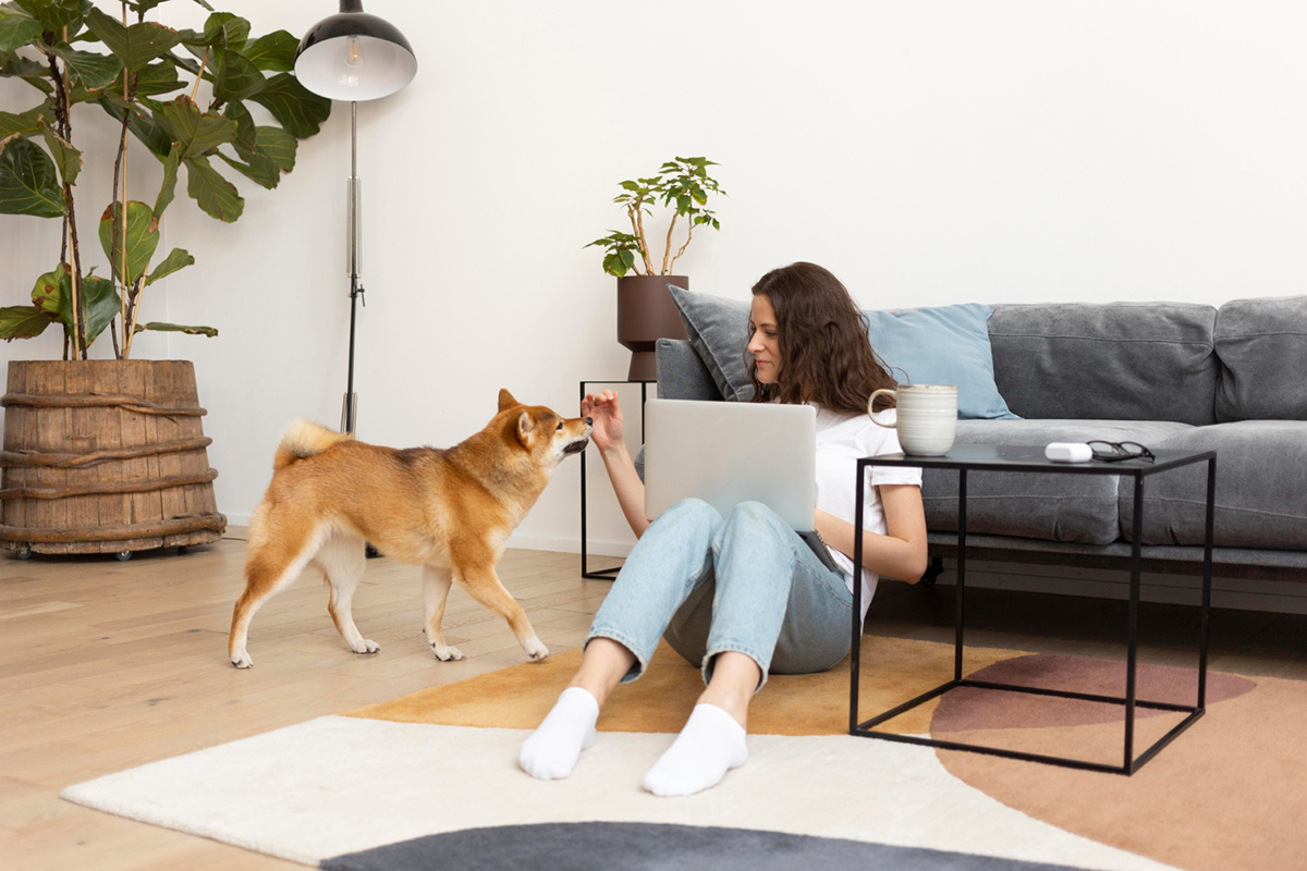How to Find the Perfect Home for You and Your Furry Friend