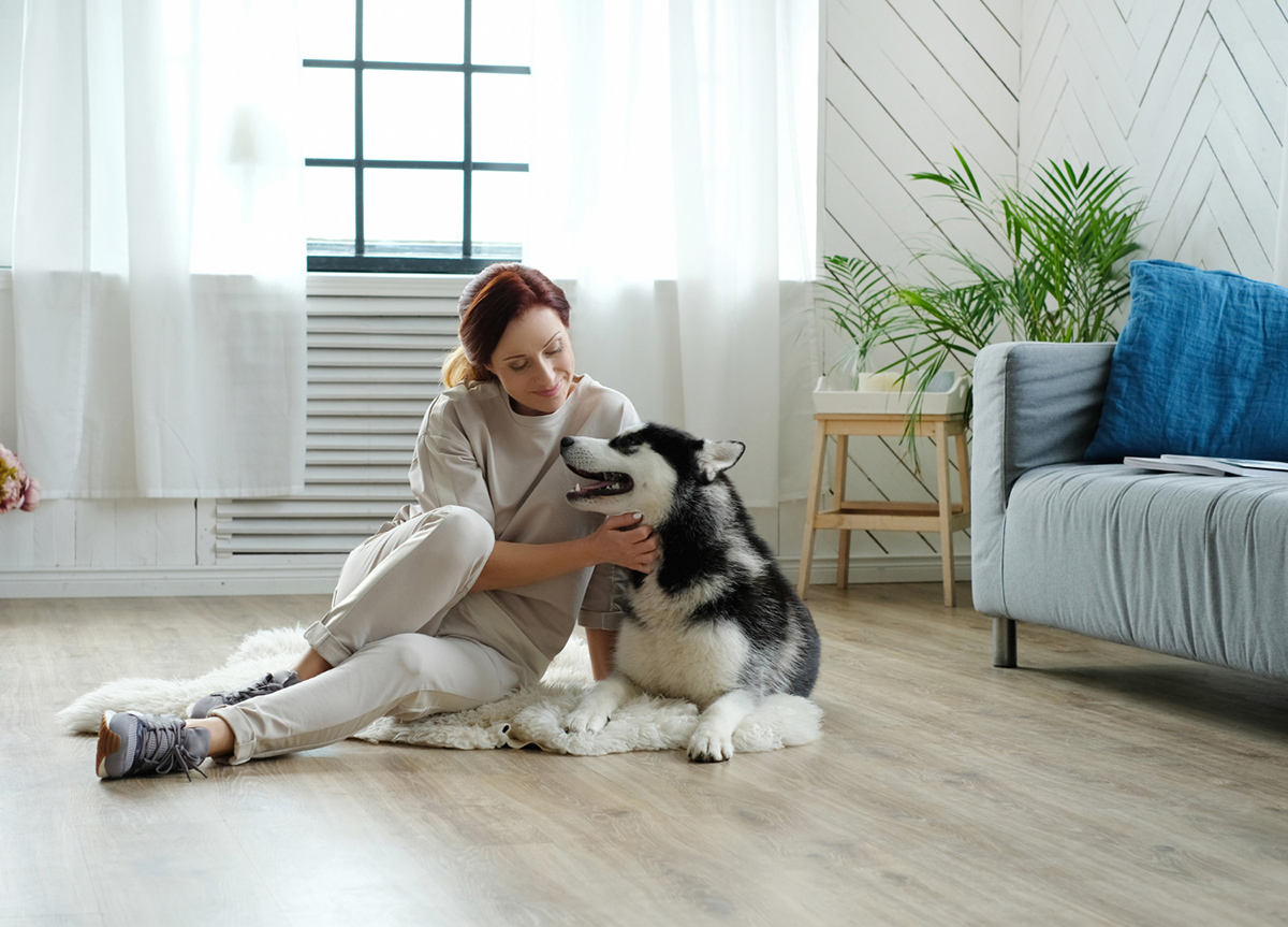 Tips to Keep Your Space Clean with a Pet