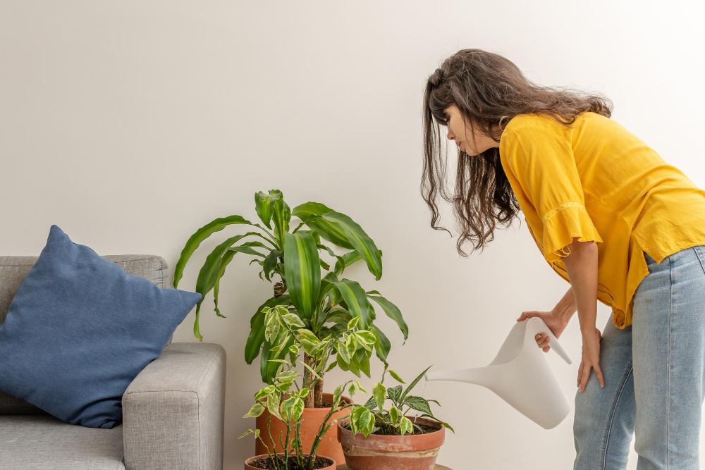 Simple and Effective Ways to Save Your Indoor Plants