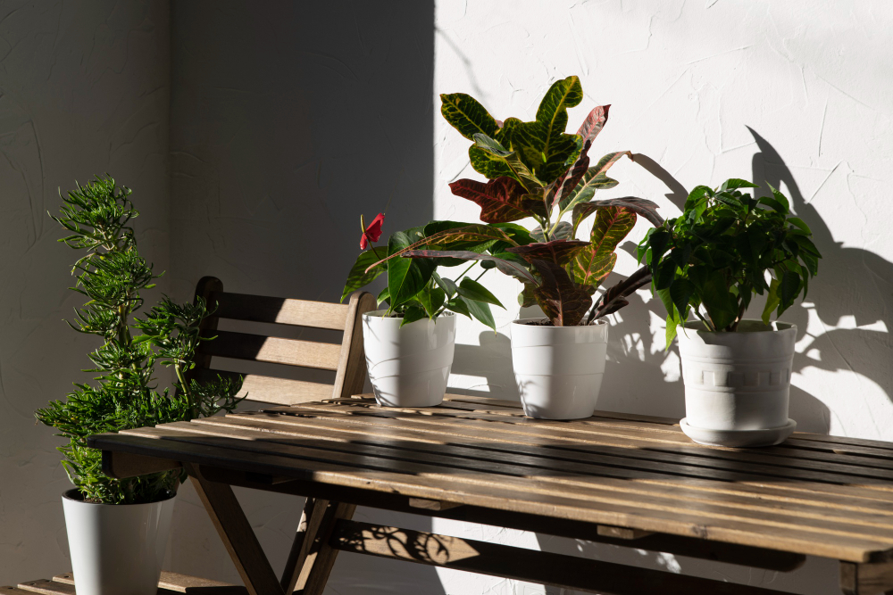 Start Your Own Balcony Garden: A Complete Guide for Apartment Living