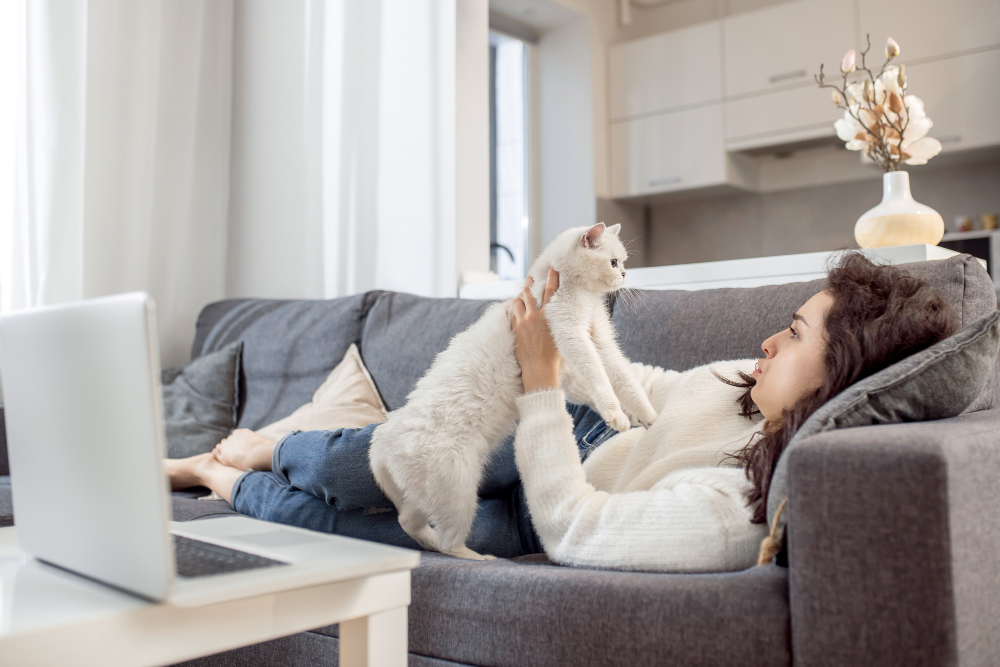 Apartment Pet Safety: Tips for Keeping Your Furry Friends Safe and Happy